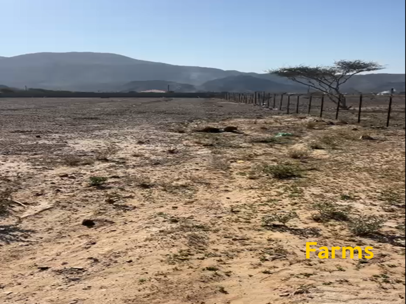 مزرعة للايجار فى راس الخيمة مساحة 168 الف قدم